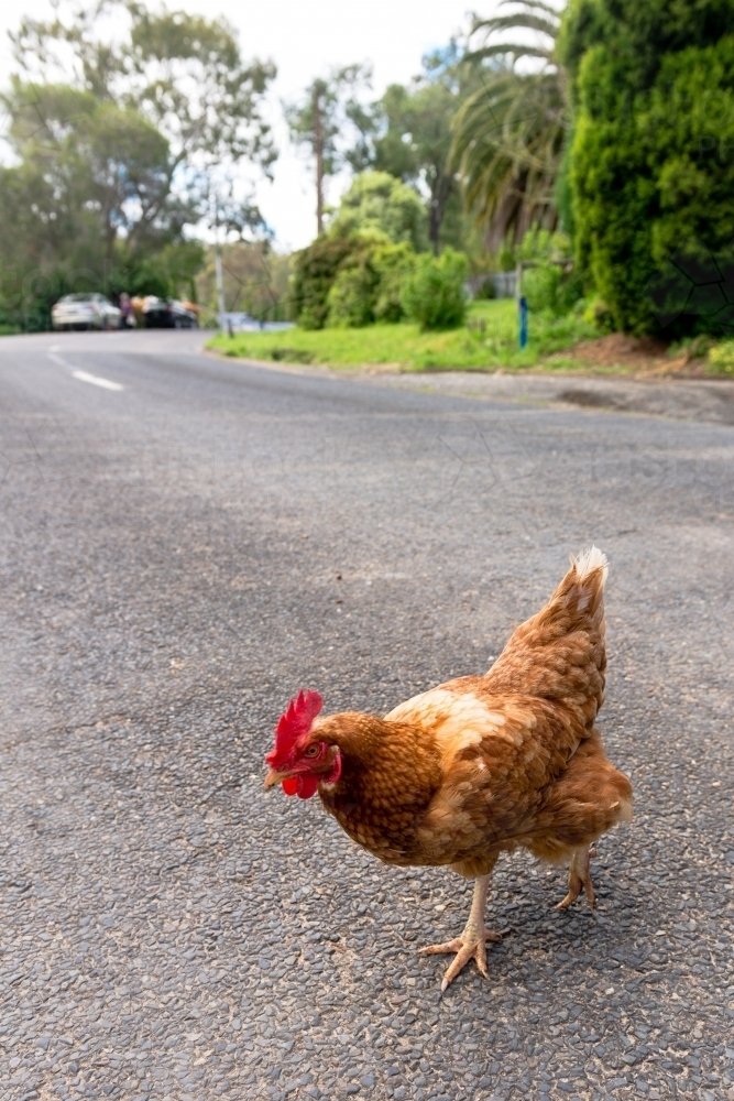 Chicken road casino in Spain