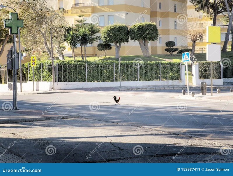 Overview of chicken road oficial